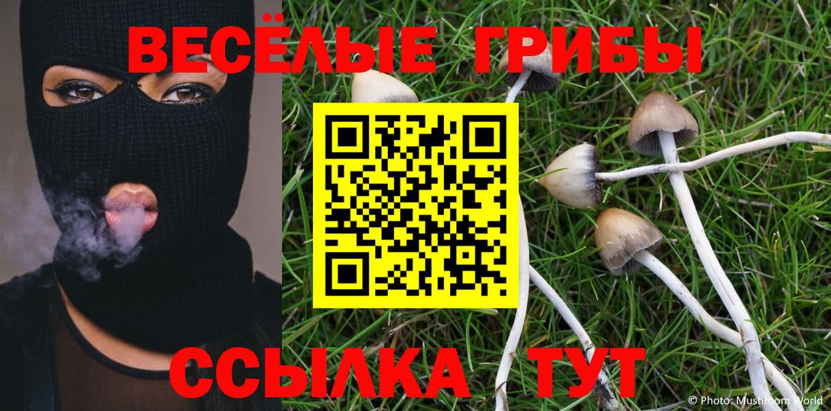 Полысаево  Псилоцибиновые грибы Psilocybe  Вход с VPN 